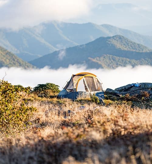 Camp